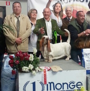 Nanà winning Best in Show